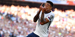 林加德有中国血统吗