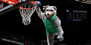 森林狼老板是谁