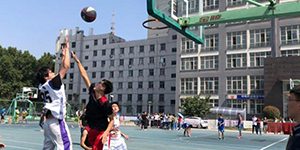 篮球野球是什么意思