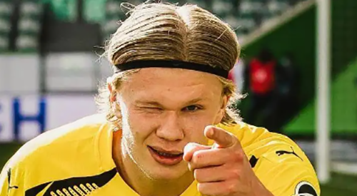 埃尔林·哈兰德是什么星座