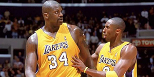 2001年湖人夺冠阵容一览