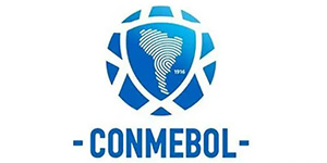 2022南美解放者杯赛制是什么