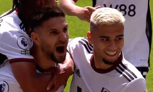 米特洛维奇什么水平