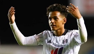 法比奥卡瓦略踢什么位置