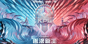 2022kpl夏季赛一共有多少支队伍