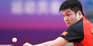 樊振东为什么不参加WTT比赛