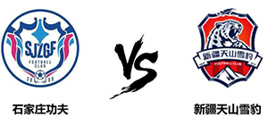 中甲第十六轮：石家庄功夫2:0新疆天山雪豹 比赛事件回顾