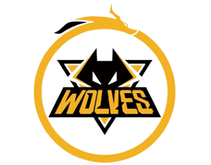 王者荣耀重庆狼队成员2022