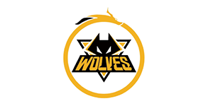 2022重庆狼队阵容