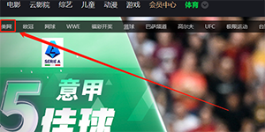 2022美网正赛在哪可以看