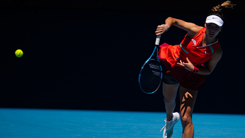 王欣瑜是哪里人