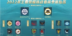 王者荣耀挑战者杯有哪些队伍