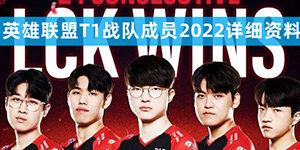 T1战队成员2022详细资料
