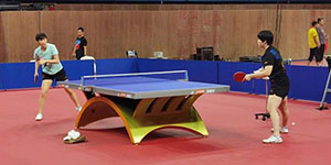 2022成都世乒赛有混双吗