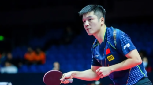 樊振东为什么叫小胖