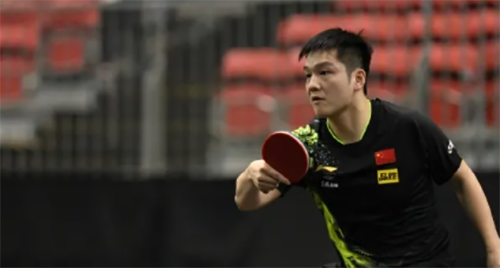 樊振东个人资料简介