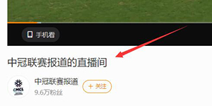 2022中冠总决赛在哪看