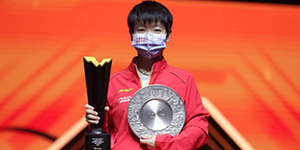 2022wtt乒乓球赛奖金分配