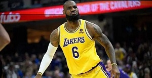 詹姆斯411工程是什么意思