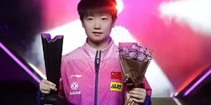 2022wtt新乡总决赛怎么购票