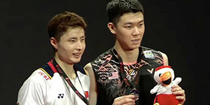 法国羽毛球公开赛是什么级别