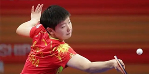 2022WTT新乡世界杯参赛队员名单