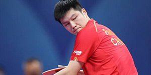 2022新乡WTT世界杯奖金怎么分配