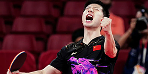 2022新乡WTT世界杯积分多少