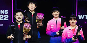 2022新乡WTT世界杯积分怎么分配