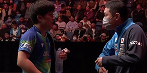 张本智和3-0战胜对手弗朗西斯卡