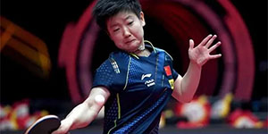 wtt冠军赛和wtt世界杯区别