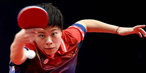 王艺迪个人简介