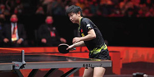 2022新乡WTT世界杯冠军是谁