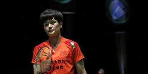 2022海露羽毛球公开赛是什么级别