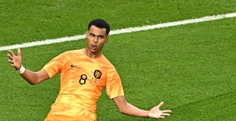 荷兰队世界杯历史战绩