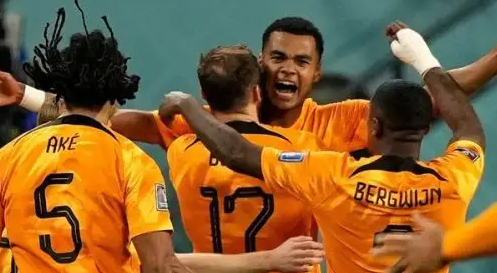 荷兰世界杯历届成绩