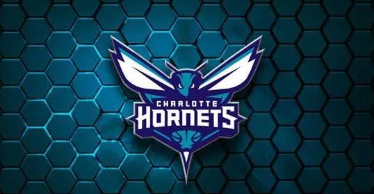 黄蜂队以前叫什么名字