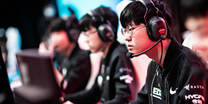 jiejie为什么叫胆小菇