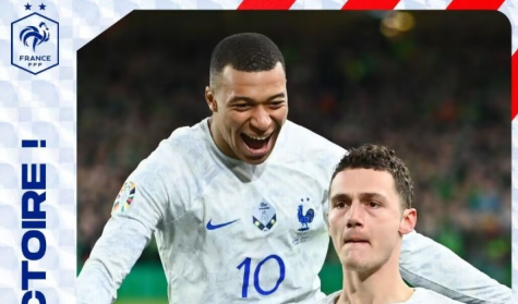 欧预赛：爱尔兰0-1法国 帕瓦尔世界波制胜迈尼昂神扑