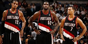 开拓者兽医是什么意思