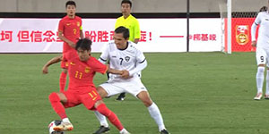 韦世豪个人资料一览