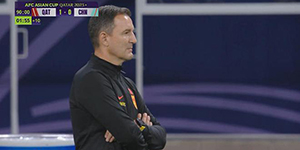 扬科维奇执教经历