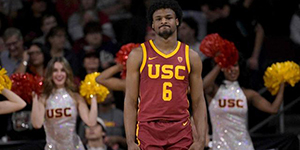 布朗尼体测数据怎样