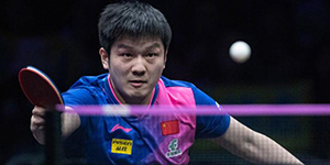 樊振东的球拍配置