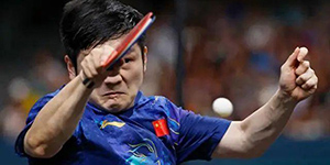 樊振东zlc和alc底板区别是什么