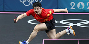 樊振东用的什么胶皮