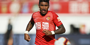 暴力鸟是什么意思