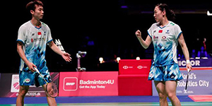 2024海露羽毛球公开赛奖金怎么分配